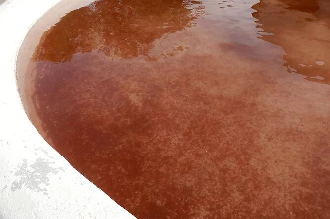 Vi khuẩn cũng có thể gây ra một số hiện tượng thời tiết kỳ lạ. Vào năm 2014, cư dân ở một số ngôi làng phía Tây Bắc Tây Ban Nha choáng váng khi nước trong đài phun nước bỗng trở thành màu đỏ thẫm như máu. May mắn thay, màu đỏ không phải minh chứng cho một vụ giết người, mà là từ một loại tảo nước ngọt. Loài tảo này có tên là Haematococcus pluvialis, sản sinh ra sắc tố đỏ khi bị stress.