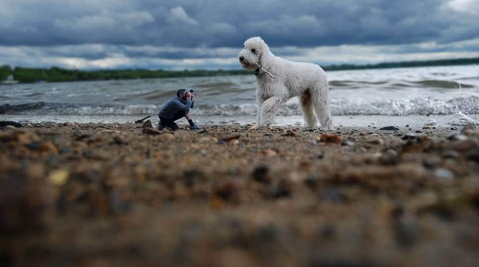 Christopher và Juji.