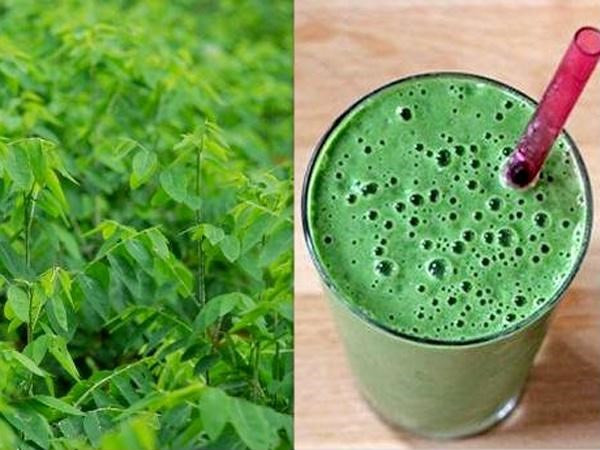 Uống nước ép rau ngót giúp bạn trị nám từ bên trong.