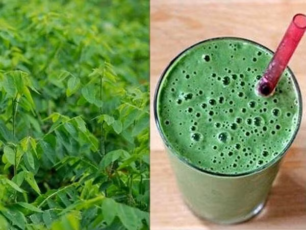 Uống nước ép rau ngót giúp bạn trị nám từ bên trong.