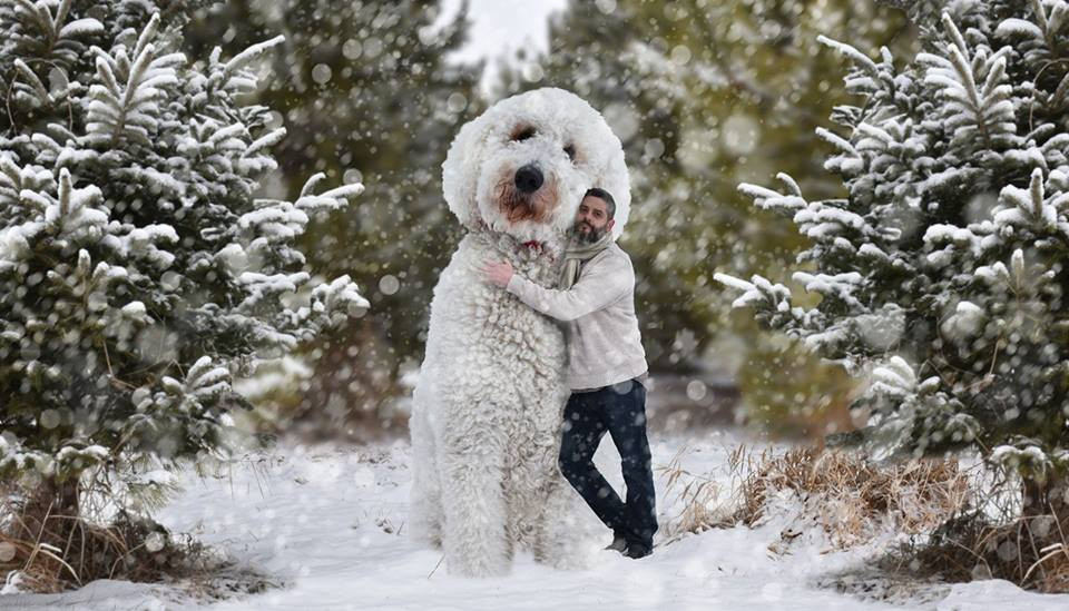 Mỗi khi ra ngoài chơi, nhiếp ảnh gia Christopher mang theo máy ảnh, chụp lại những khoảnh khắc đáng nhớ của chú chó Juji và mình.