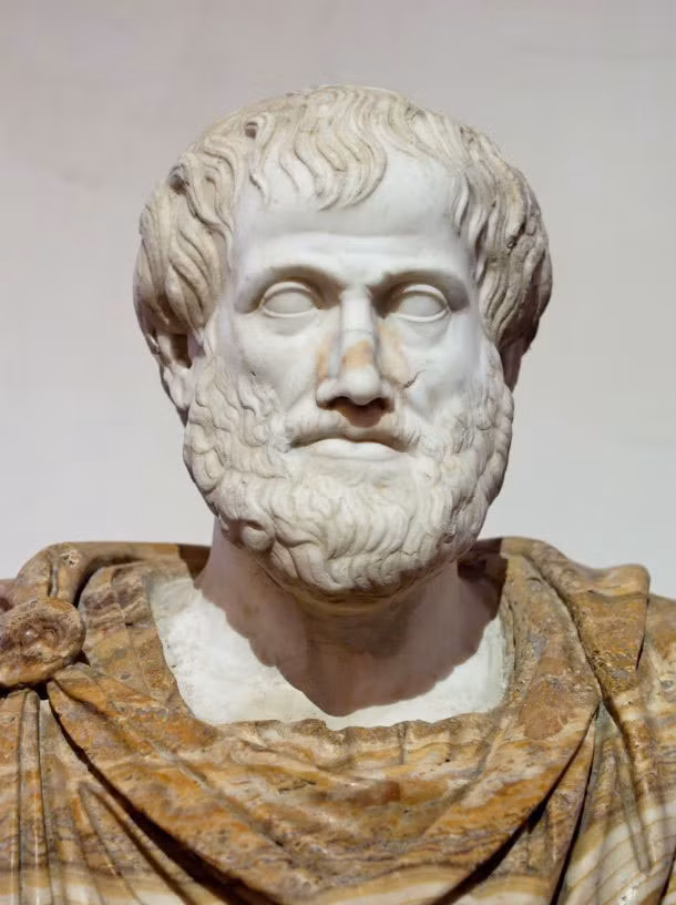 Vua Philip II của xứ Macedon đã nhờ thầy Aristotle – một trong những triết gia vĩ đại nhất trong lịch sử cổ đại cùng với người thầy Socrates và Plato – tới để dạy dỗ người con trai Alexander 13 tuổi. Ba năm sau, vị hoàng tử này lên ngôi vua và lấy tên là Alexander Đại đế.