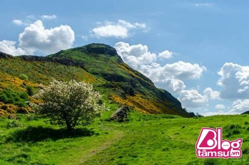 Chấn động tìm thấy 17 chiếc quan tài bí ẩn diễn ra vào một buổi sáng năm 1863, ở Edinburgh, Scotland, một nhóm thanh niên đã dự định đến Seat Arthur để bắt thỏ núi.