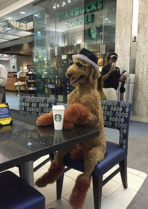 Không chỉ làm việc trong những bệnh viện nhi, Max và Ruby còn thường xuyên ghé thăm những trại dưỡng lão để dọn dẹp, hút bụi, mang đến sự an ủi, động viên, giúp những người già lạc quan, vui sống hơn.