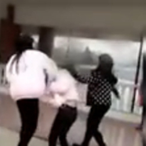 Mặc cho cô gái la hét, quỳ gối xin nhưng nhóm nữ sinh này vẫn đánh không thương tiếc.