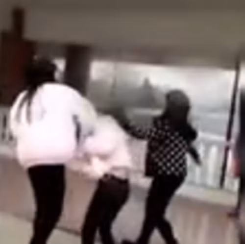 Mặc cho cô gái la hét, quỳ gối xin nhưng nhóm nữ sinh này vẫn đánh không thương tiếc.