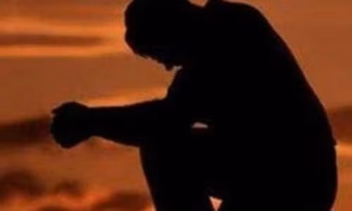 Tôi sẽ có mọi thứ khi làm trai bao của anh giám đốc già Toi se co moi thu khi lam trai bao cua anh giam doc gia