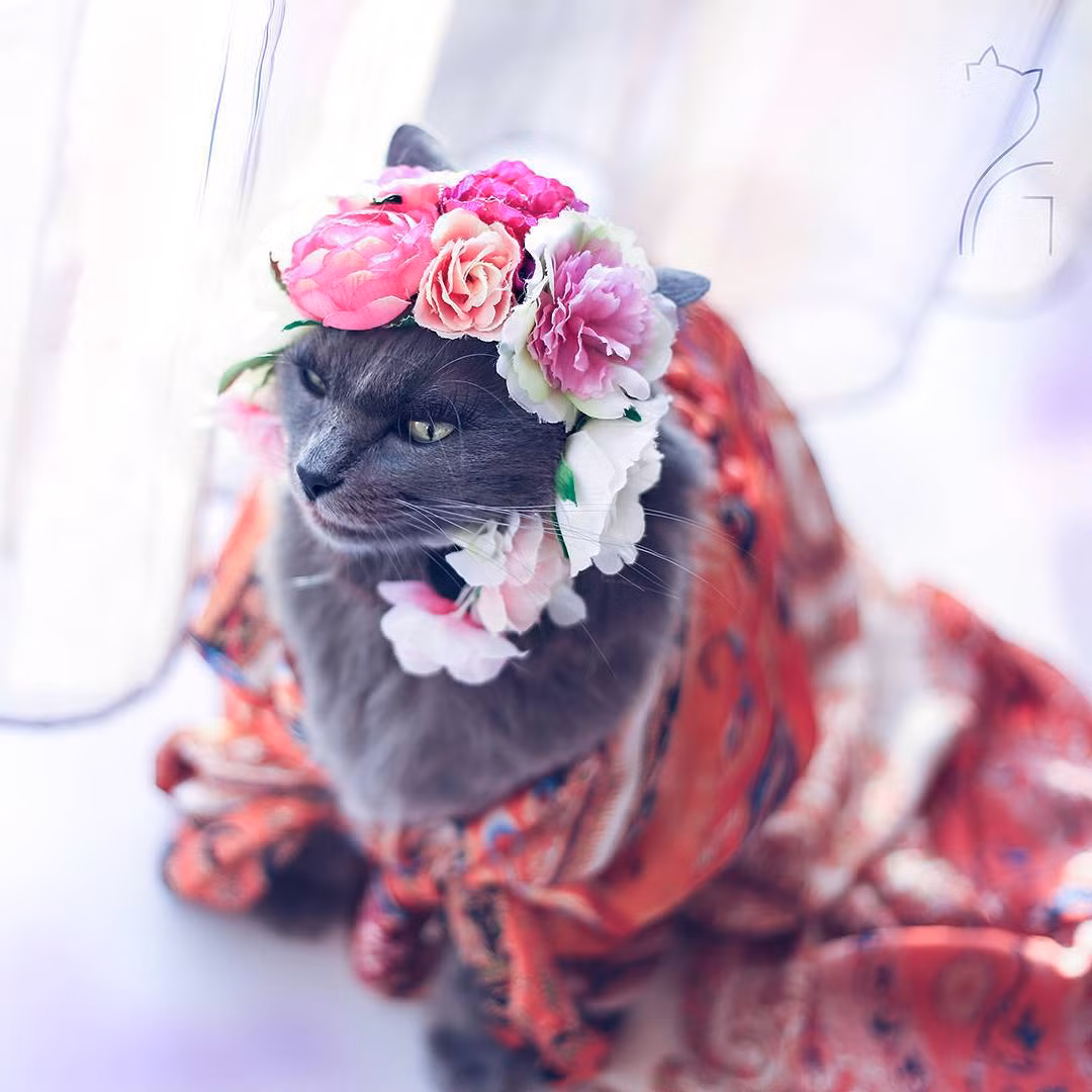 Cô nàng là một trong những người mẫu động vật sáng giá nhất.