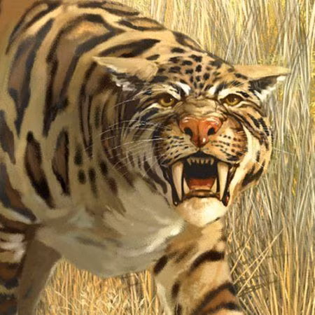 Tuy vậy, với nhiều người, khi điểm mặt những sát thủ động vật gây kinh hãi nhất, con người vẫn không thể kìm nén cảm xúc hoảng hốt khi đối mặt với loài mèo Dinofelis sát thủ này.