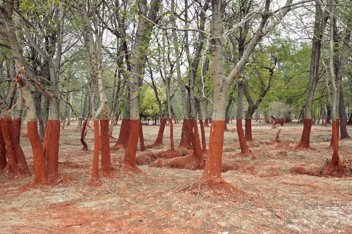 Sự cân bằng màu đồng đều đến độ hoàn hảo này sẽ khiến bạn nghĩ rằng đây là một hình ảnh khó có thật nhưng ngược lại, hình ảnh này phản ánh hậu quả của một vụ tràn chất thải độc hại xảy ra vào năm 2010 ở Tây Hungary.
