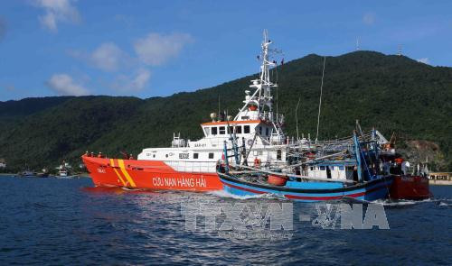 Ảnh minh họa - TTXVN. Ảnh minh họa - TTXVN.