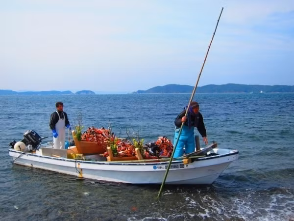 Chèo thuyền mang búp bê ra biển hàng năm. (Ảnh: Scribotarian)