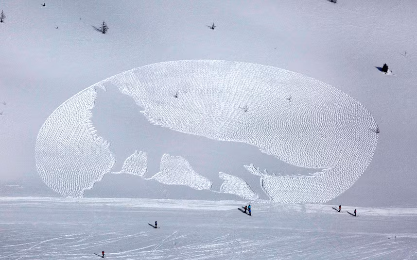 Sinh ra ở Somerset, nghệ sĩ Simon sáng tạo hầu hết các tác phẩm nghệ thuật trên tuyết của mình tại khu nghỉ mát trượt tuyết của Pháp, Les Arcs nhưng năm nay, Beck đã đến tận Canada để ghi dấu ấn với tác phẩm nghệ thuật chiếc lá phong khổng lồ của mình.