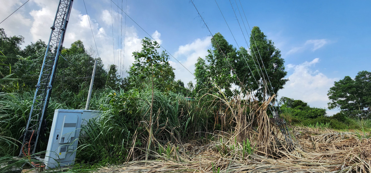 Lum xum tram BTS o phuong Viet Hung: TP Ha Long hay Mobifone dung, sai?-Hinh-3