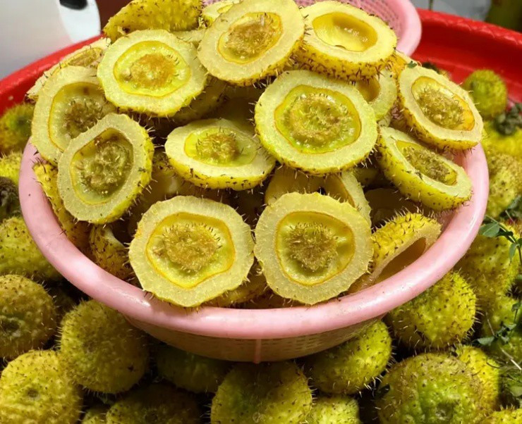 Lê gai - Quả dại đầy gai giàu dinh dưỡng - Hình 3 Le gai - Qua dai day gai giau dinh duong-Hinh-3