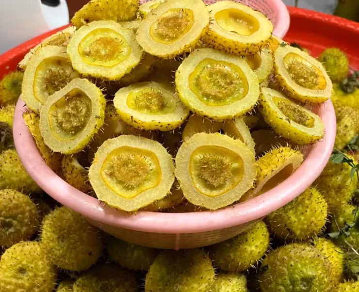 Le gai - Qua dai day gai giau dinh duong-Hinh-3