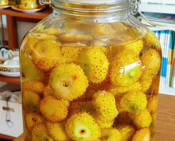 Lê gai - Quả dại đầy gai giàu dinh dưỡng - Hình 4 Le gai - Qua dai day gai giau dinh duong-Hinh-4