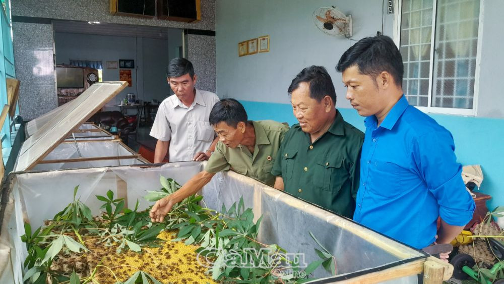 Nuôi đủ thứ con, cựu chiến binh Cà Mau thu 150 triệu đồng/năm - Hình 2 Nuoi du thu con, cuu chien binh Ca Mau thu 150 trieu dong/nam-Hinh-2