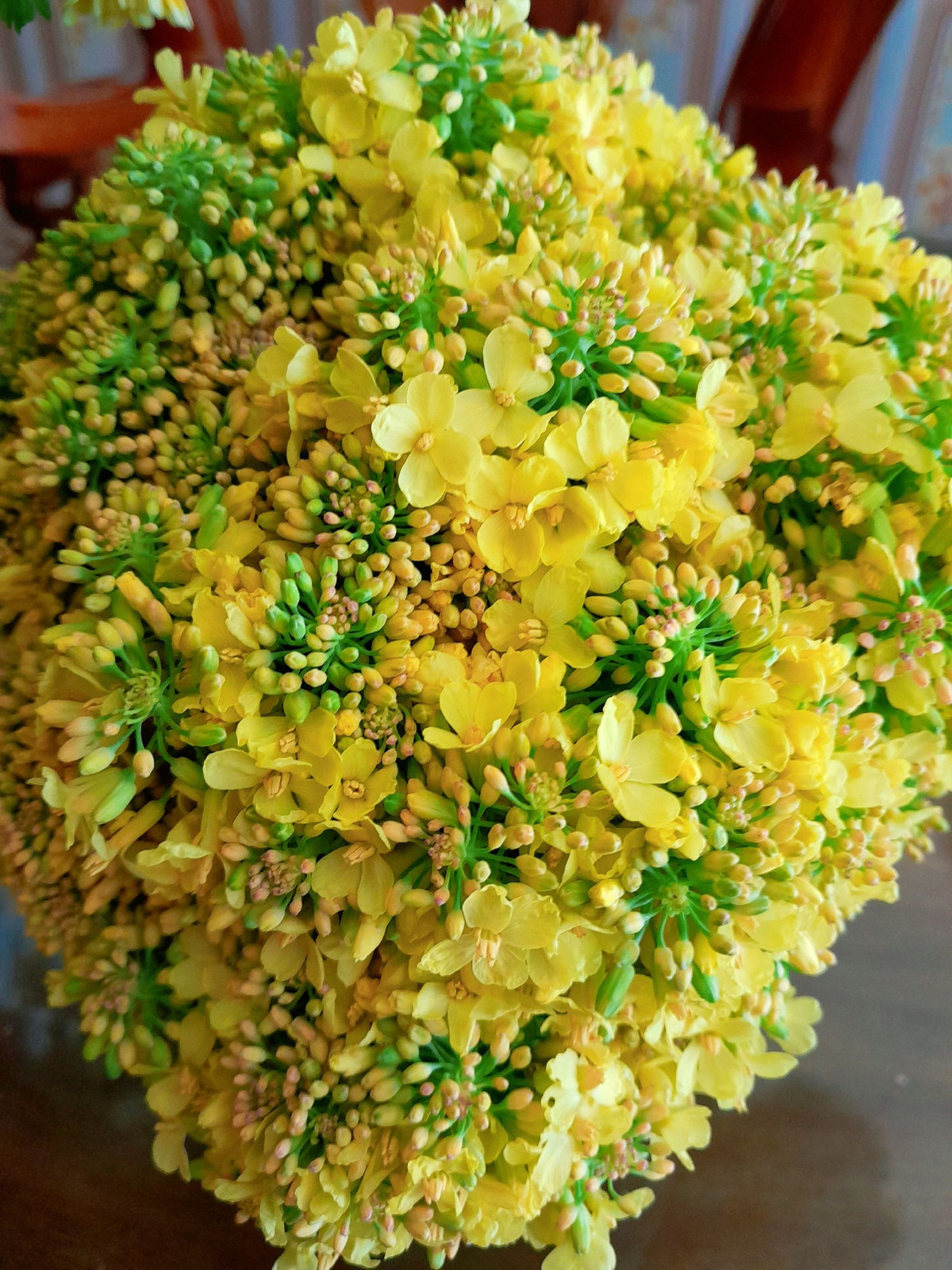 Không ít người nhận xét rằng trào lưu này không chỉ giúp không gian sống trở nên độc đáo hơn mà còn thể hiện sự sáng tạo của hội chị em yêu thích trang trí nhà cửa.