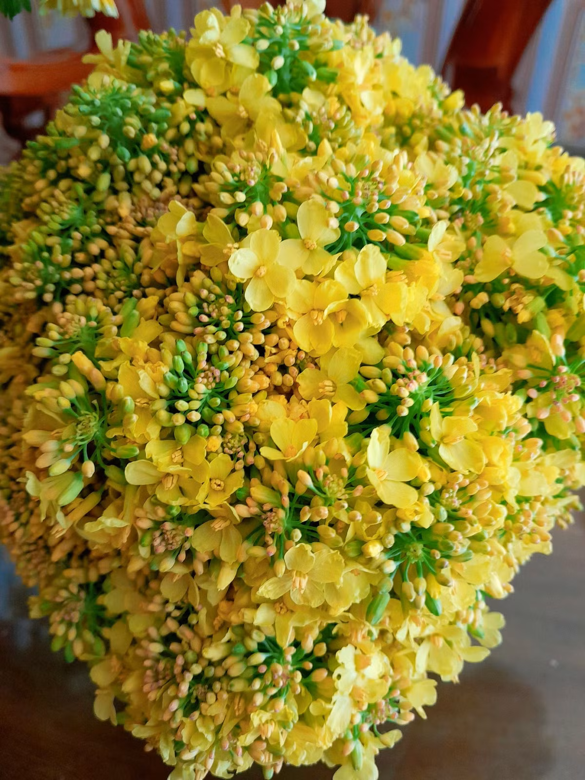 Không ít người nhận xét rằng trào lưu này không chỉ giúp không gian sống trở nên độc đáo hơn mà còn thể hiện sự sáng tạo của hội chị em yêu thích trang trí nhà cửa.