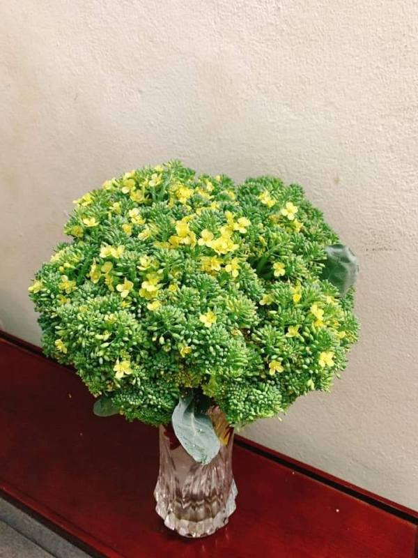 Bên cạnh yếu tố thẩm mỹ, một số chị em còn hài hước cho rằng, trào lưu cắm hoa súp lơ còn mang tính ứng dụng cao, vừa để ngắm vừa có thể... nấu ăn khi cần.