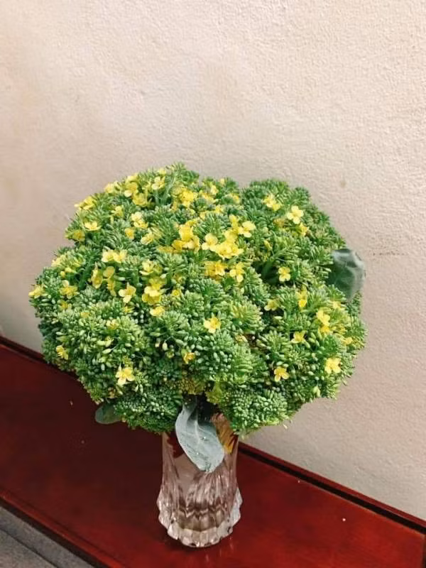 Bên cạnh yếu tố thẩm mỹ, một số chị em còn hài hước cho rằng, trào lưu cắm hoa súp lơ còn mang tính ứng dụng cao, vừa để ngắm vừa có thể... nấu ăn khi cần.