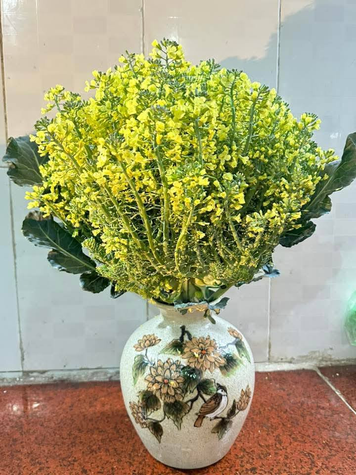 Chỉ cần một cây súp lơ thôi là đã có cả bình hoa xinh xắn.