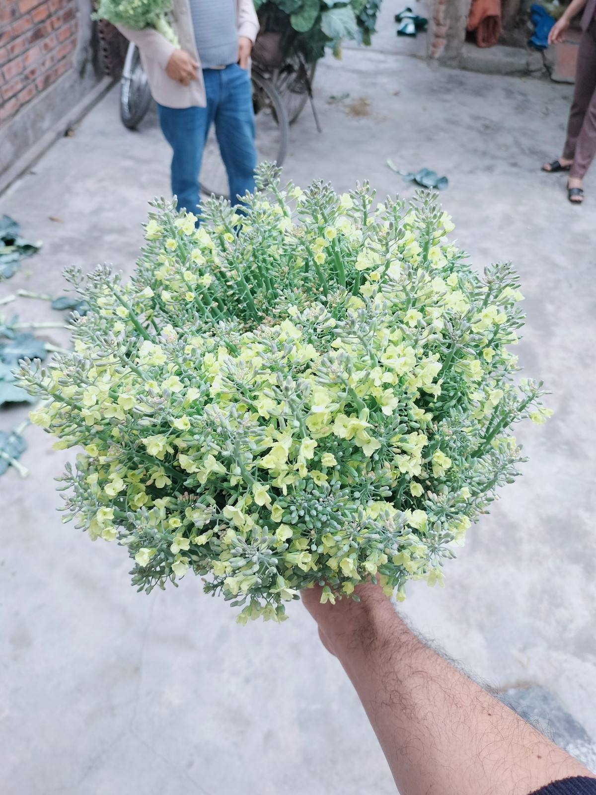 Một bình hoa nhưng hai công dụng, quả thực là ý tưởng vô cùng độc đáo.