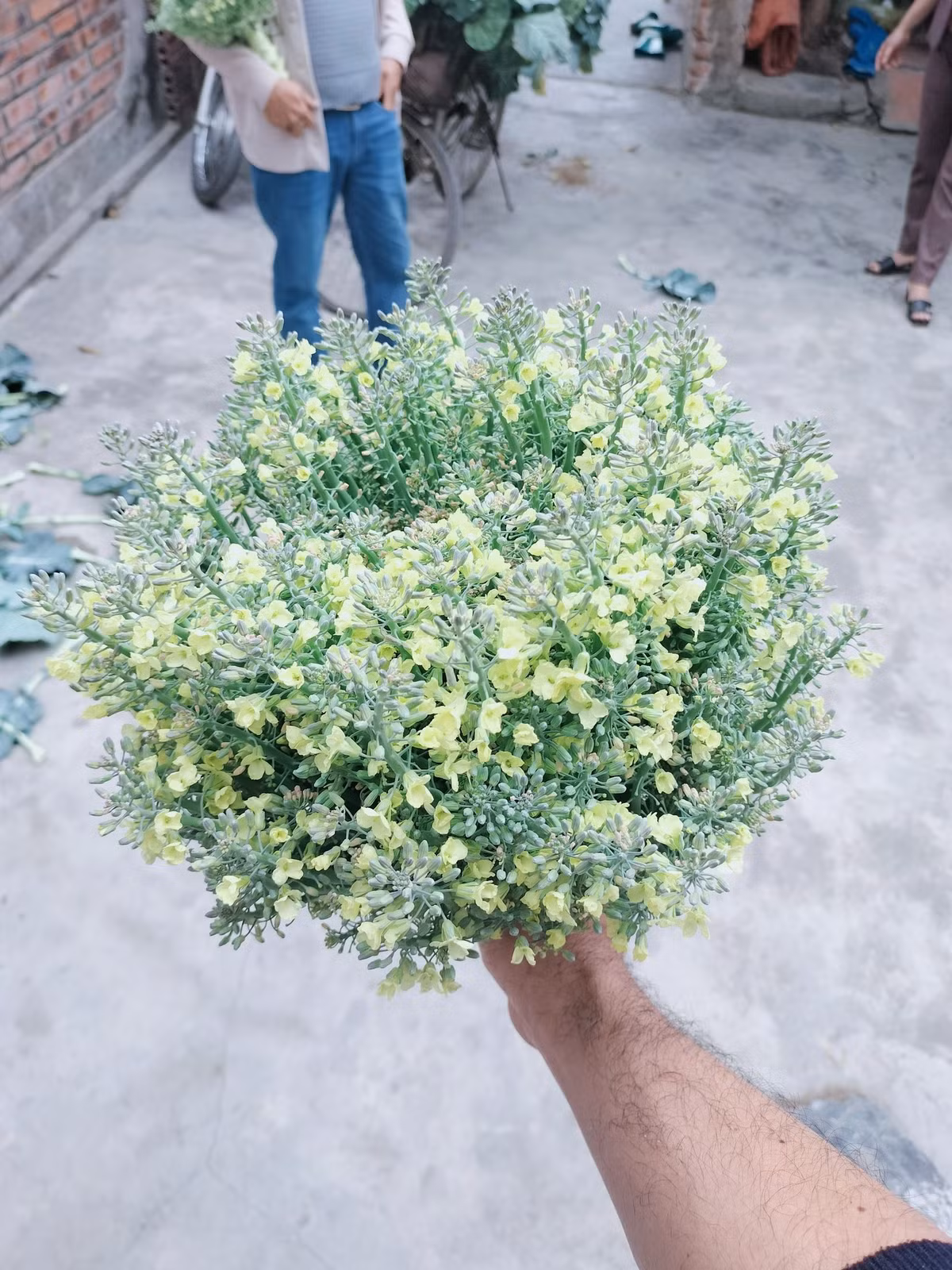 Một bình hoa nhưng hai công dụng, quả thực là ý tưởng vô cùng độc đáo.