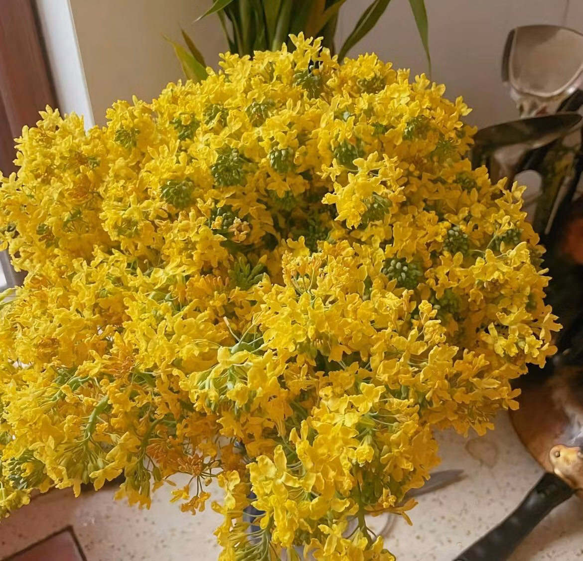 Tưởng chừng chỉ là một loại rau quen thuộc trong bữa cơm hằng ngày, súp lơ khi được đặt vào bình cắm hoa lại mang đến một vẻ đẹp lạ mắt và thú vị.