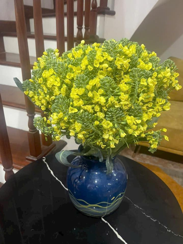 Trên mạng xã hội, nhiều hình ảnh về những bình hoa súp lơ được chia sẻ với vô vàn kiểu dáng khác nhau.