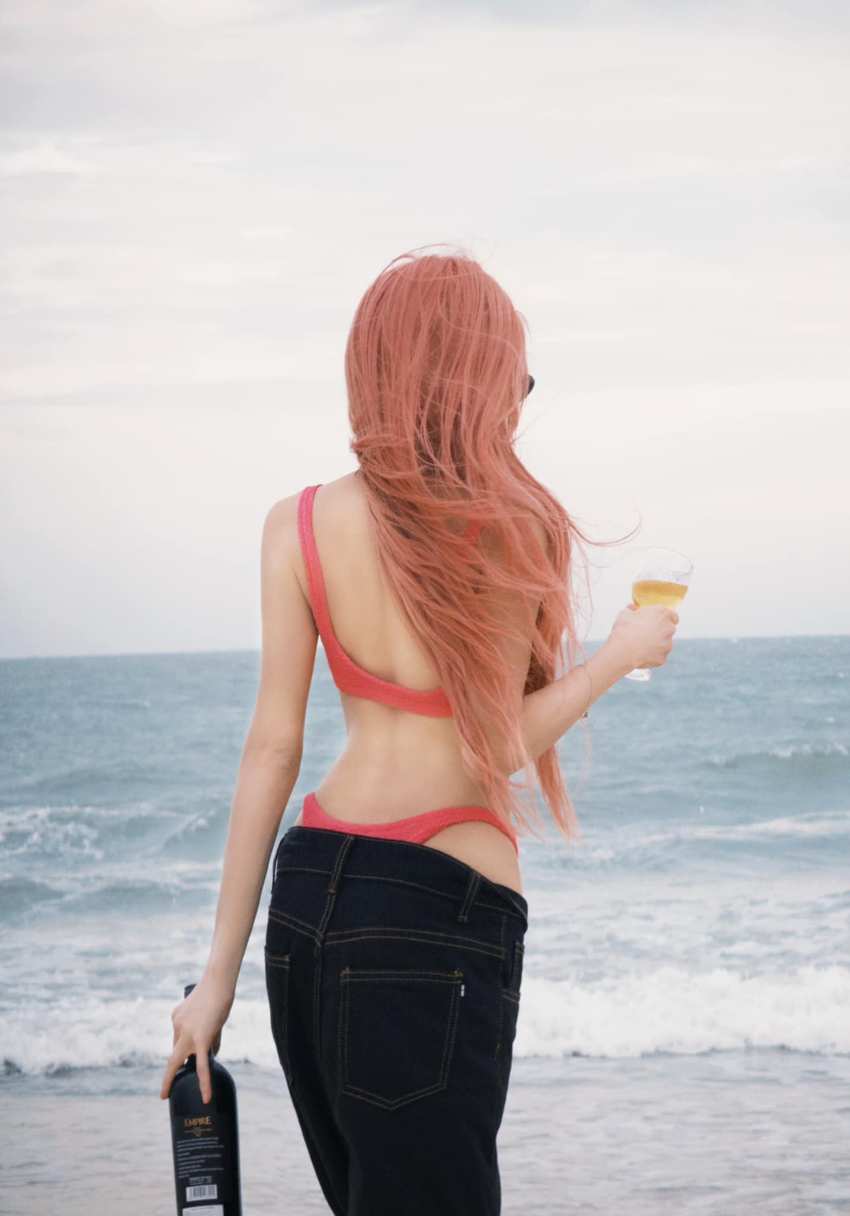 Trang Pháp sinh năm 1989, tên thật là Nguyễn Thùy Trang, quê Hà Nội. Cô hoạt động trong nhiều vai trò như: diễn viên, ca sĩ, nhạc sĩ. Năm 17 tuổi, cô gây chú ý khi đảm nhận vai Thảo Uyên xấu tính trong sitcom đình đám Nhật Ký Vàng Anh.