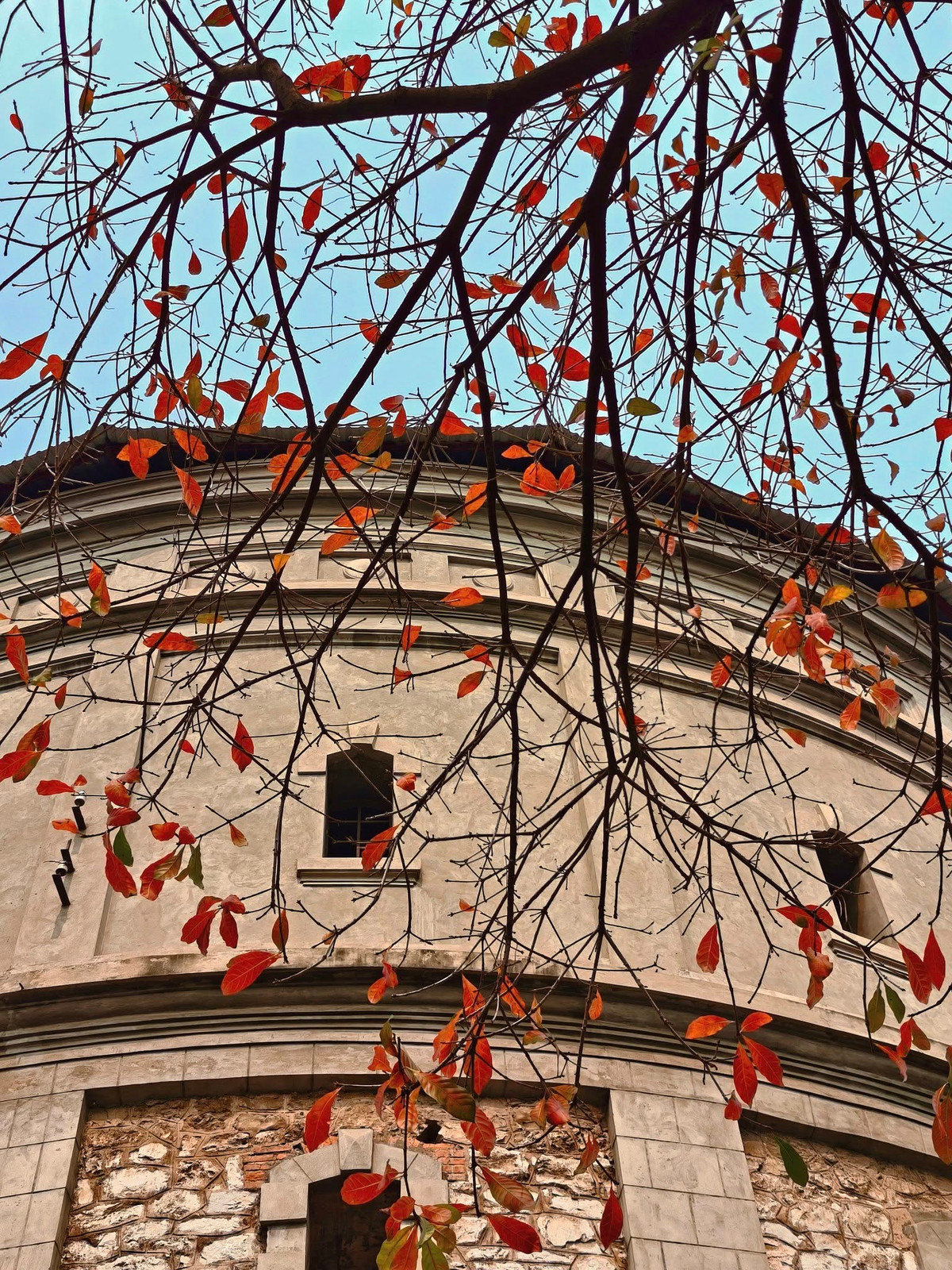 Trên những mạng xã hội như Facebook, Tiktok..., giới trẻ truyền tay nhau thành quả khi "đu trend" check-in tại đây, khiến nhiều người tò mò ghé qua, tạo nên khung cảnh tấp nập cả một góc phố. (Ảnh: Nam Nguyễn)