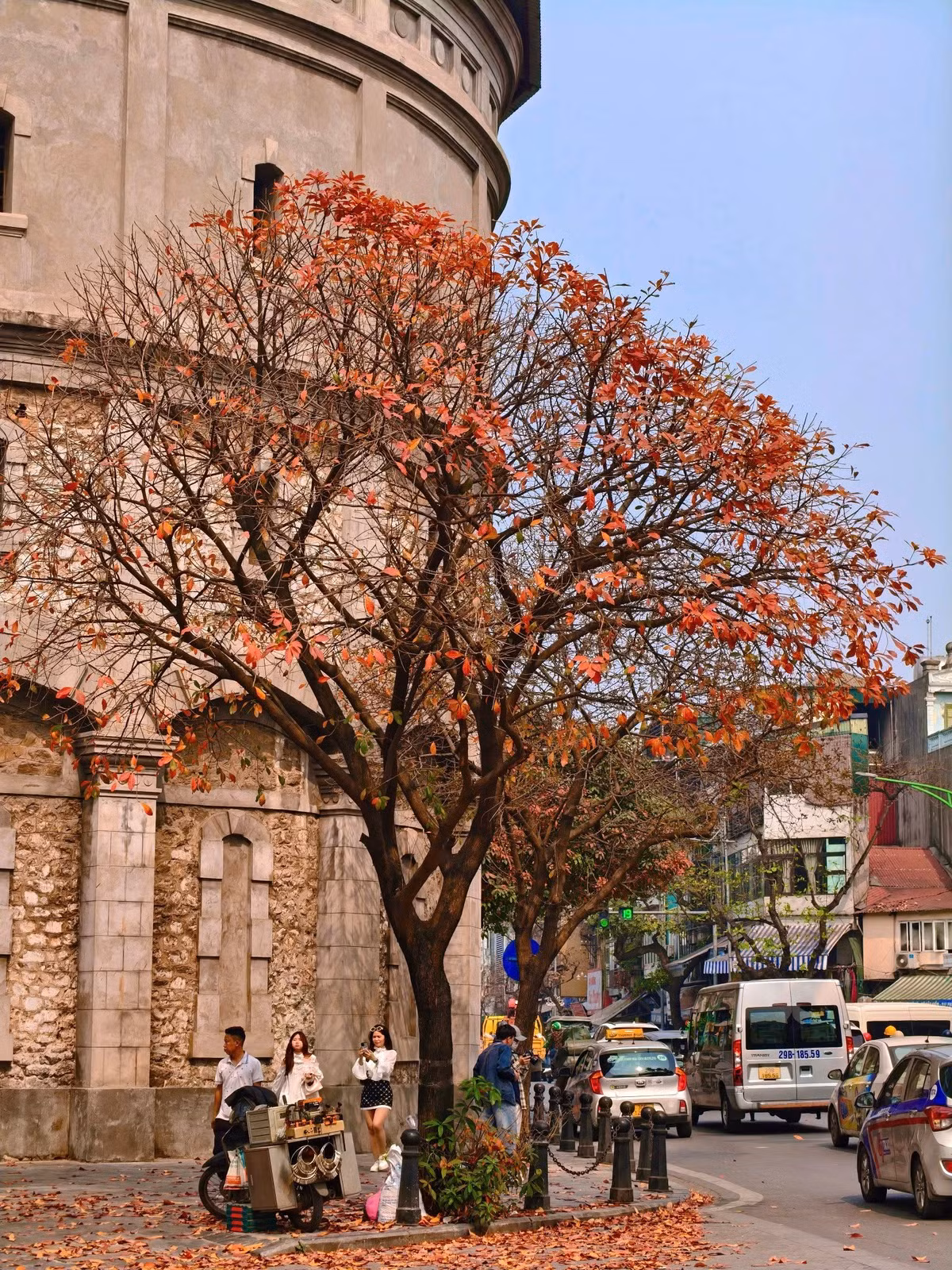 Khoảng hơn một tuần nay, hàng lộc vừng tại bốt Hàng Đậu bắt đầu ngả màu cam đỏ rực cả một góc trời, tạo nên một khung cảnh lãng mạn khiến ai đi qua cũng phải ngoái nhìn. Thậm chí nhiều người còn ví nơi đây như một góc Paris thu nhỏ giữa lòng Hà Nội. (Ảnh: Nam Nguyễn)