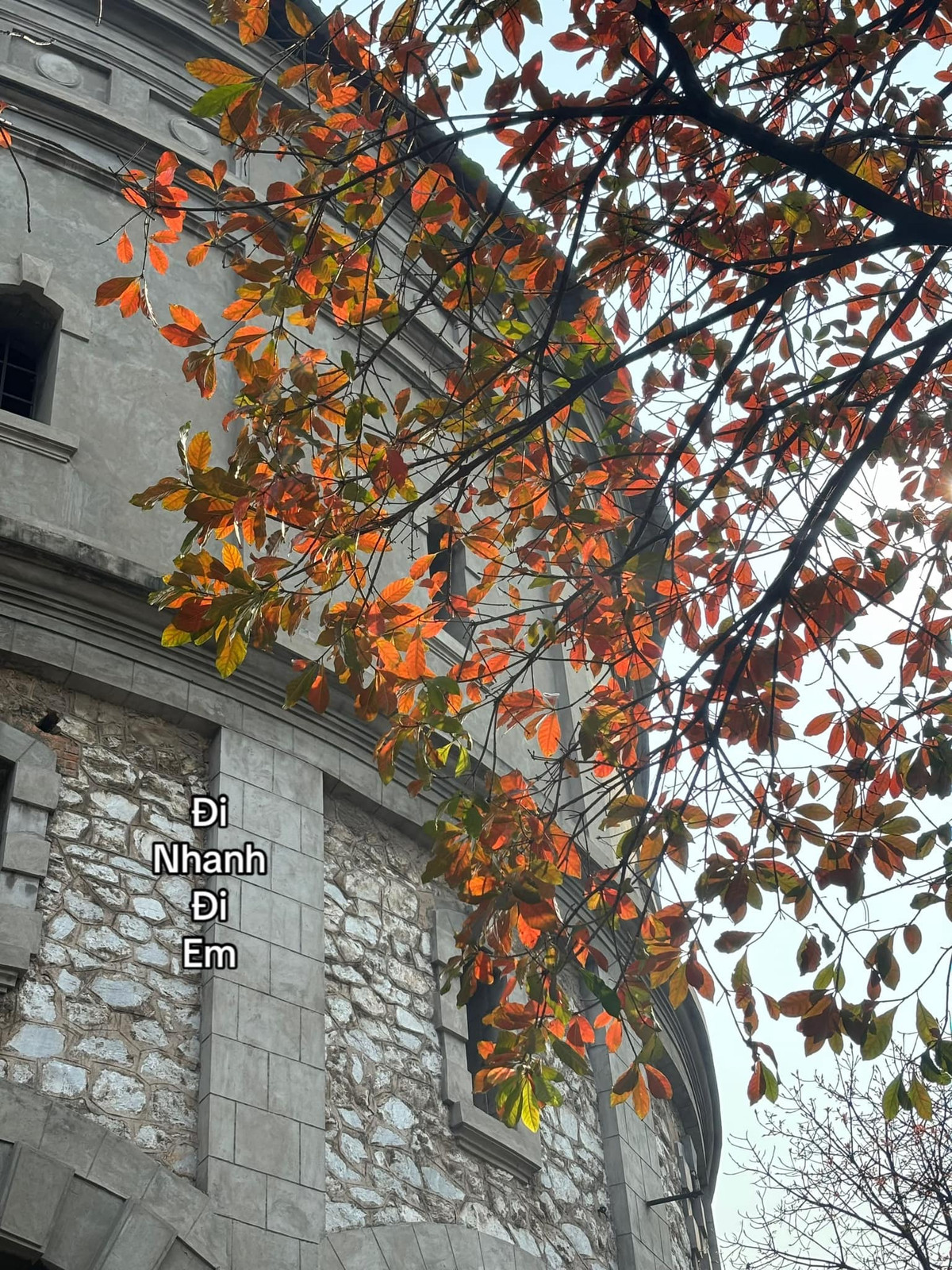 Giữa nhịp sống hiện đại và những tòa cao ốc mọc lên ngày càng nhiều, tháp nước Hàng Đậu vẫn đứng đó như một biểu tượng của Hà Nội xưa cũ. (Ảnh: Tiktok)