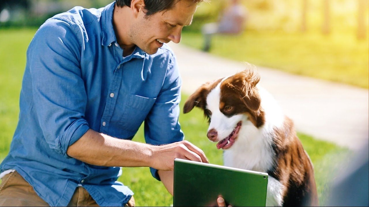 Google từng khiến những người yêu thích thú cưng trên khắp thế giới phấn khích khi vào năm 2017, họ thông báo về việc ra mắt một “Google Play dành riêng cho thú cưng”. Điều này bao gồm một danh mục các trò chơi, ứng dụng và công cụ đào tạo cho thú cưng.