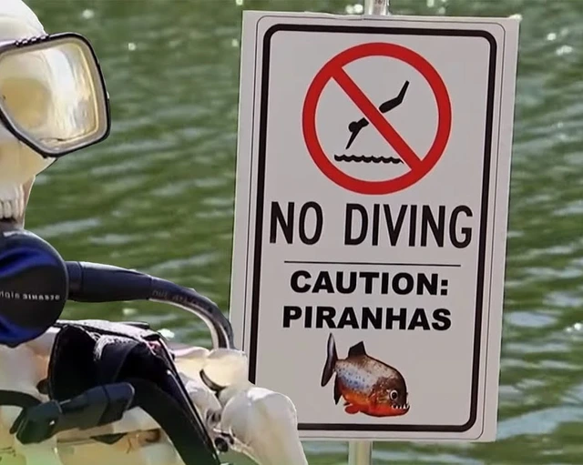 Cá piranha có thể "nuốt chửng một con bò trong chưa đầy năm phút" - trò đùa kinh điển của nhà văn thể thao Bob Peel trên tờ Syracuse Post-Standard vào ngày cá tháng tư.