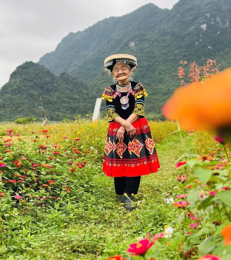 Theo chia sẻ của anh Nam - cháu nội cụ Tứ, cả nhà quyết định di chuyển bằng xe bán tải để có thể chủ động trong hành trình du lịch 12 ngày. Cả nhà cùng nhau đi trải nghiệm văn hóa, thưởng thức cảnh đẹp, đồ ăn ngon ở những địa điểm du lịch nổi tiếng dọc Quảng Bình, Quảng Trị, Huế, Đà Nẵng.