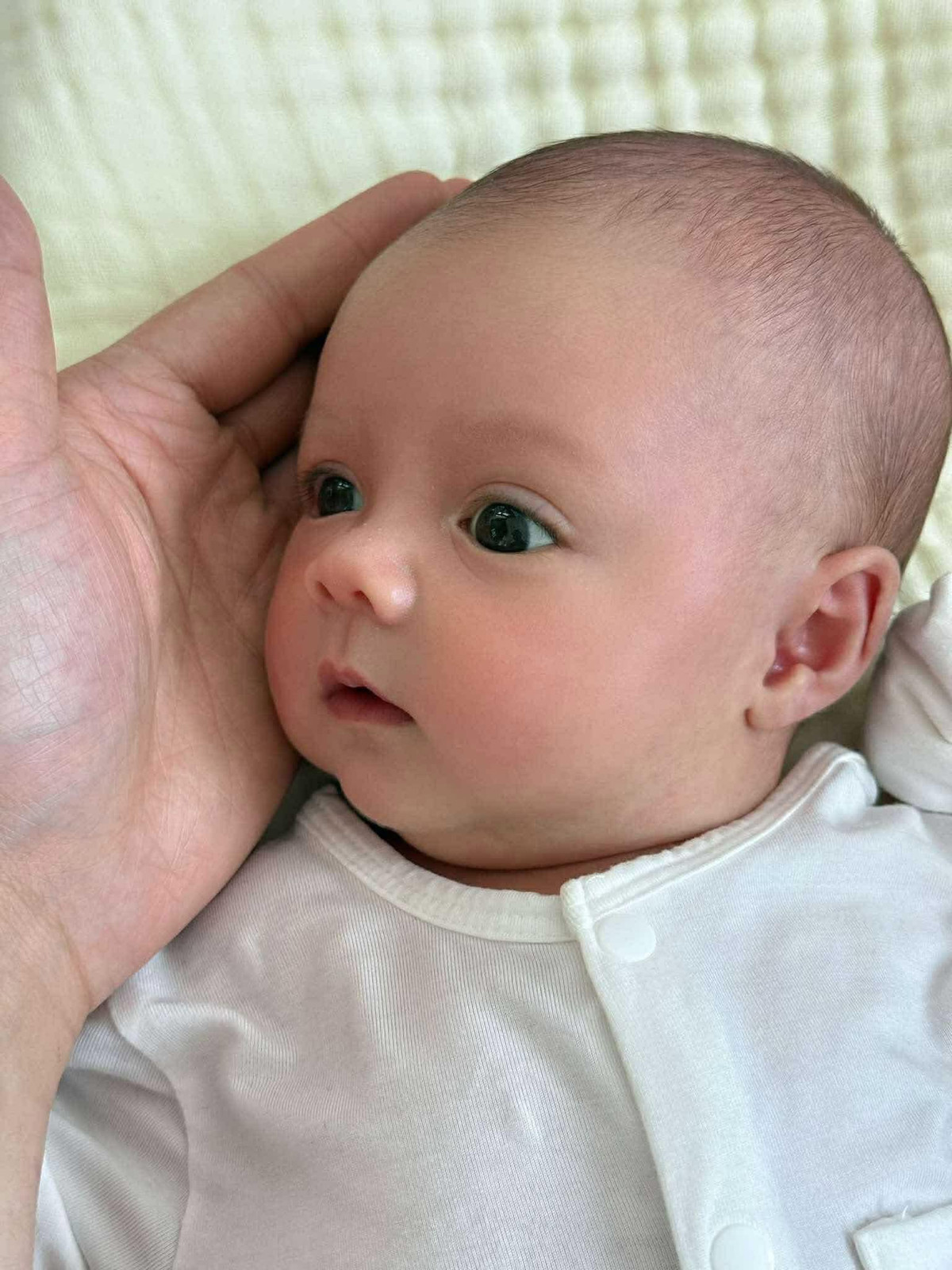 Vẻ bụ bẫm, đáng yêu của bé khiến bất kỳ ai nhìn thấy cũng đều "tan chảy".