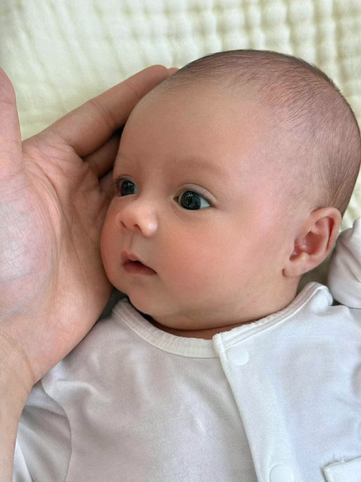 Vẻ bụ bẫm, đáng yêu của bé khiến bất kỳ ai nhìn thấy cũng đều "tan chảy".