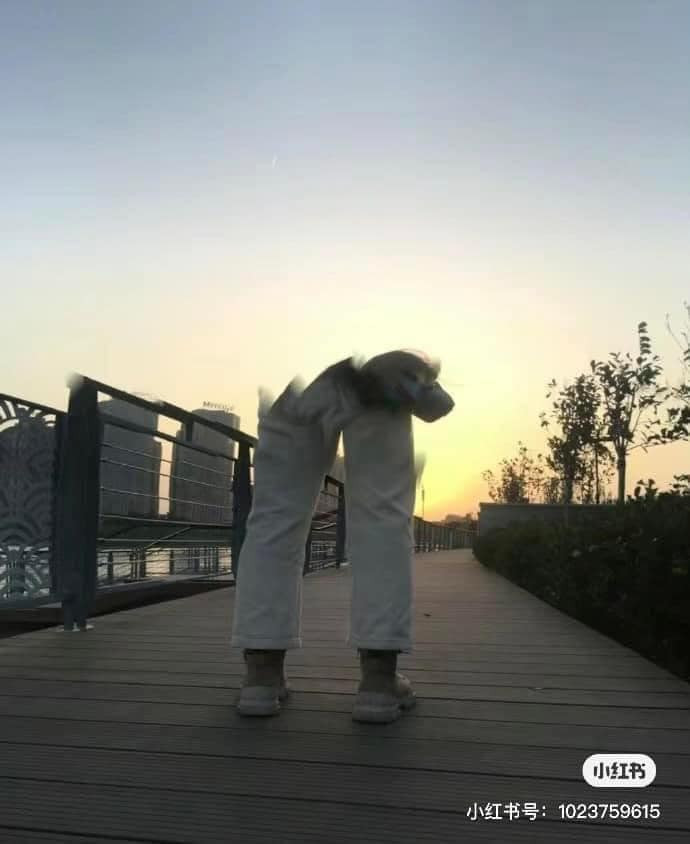 Trình chụp ảnh không thấy mặt thế này đúng là "độc nhất vô nhị".