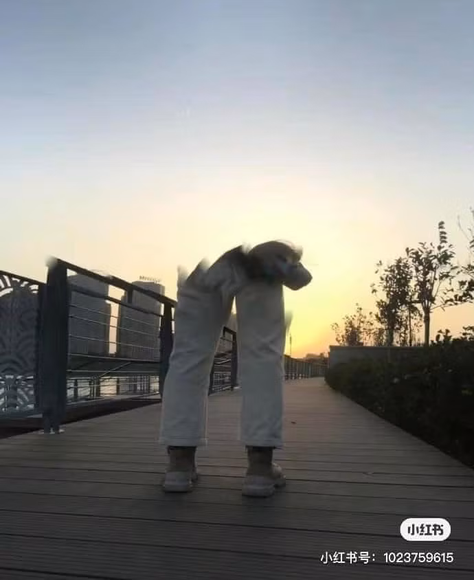 Trình chụp ảnh không thấy mặt thế này đúng là "độc nhất vô nhị".