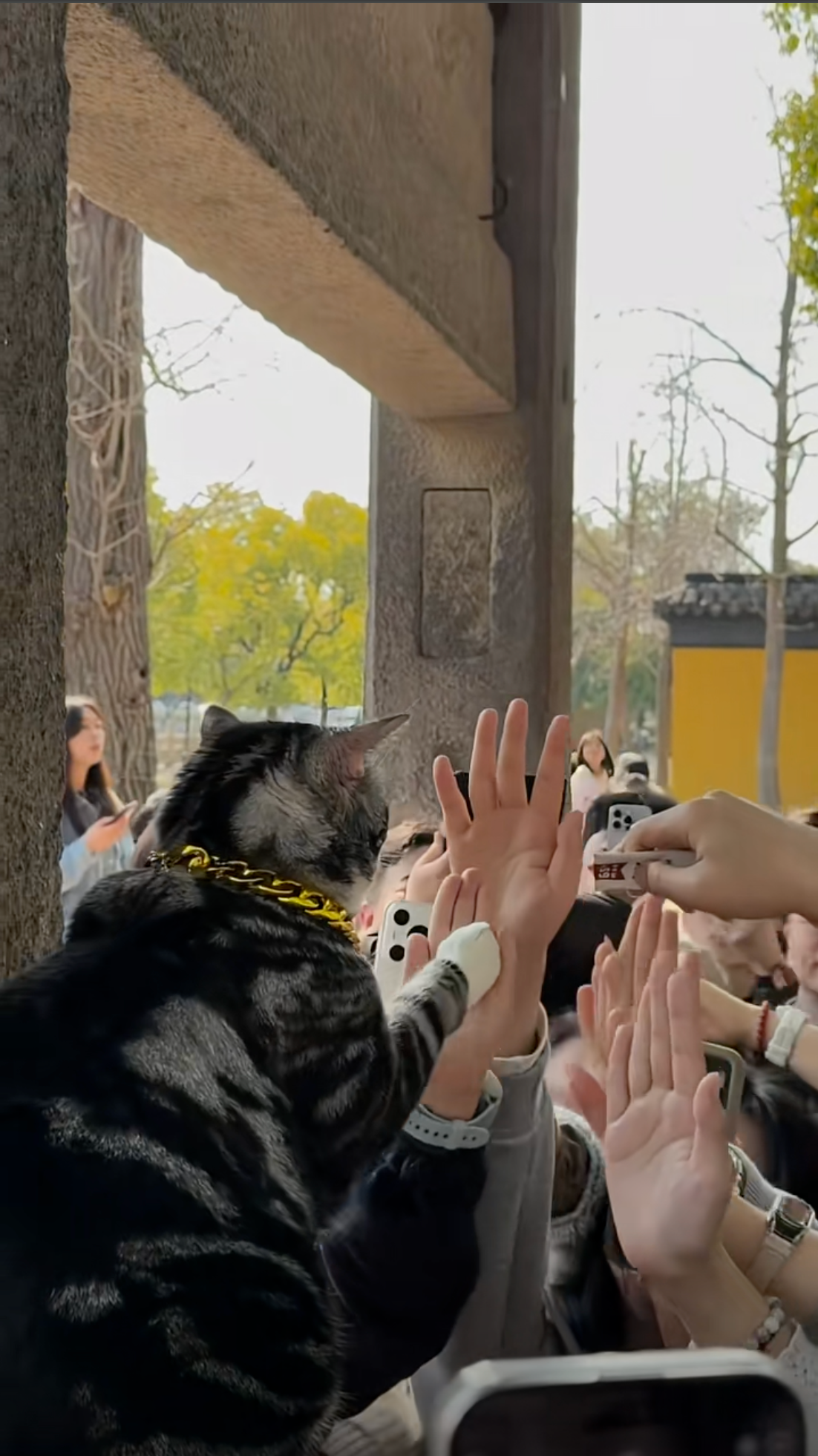 Chùa Tây Viên ở Tô Châu nằm tại số 18 ngõ Tây Viên, đường Hổ Khâu ngoài cửa Xương Môn, Tô Châu, được xây dựng từ thời Nguyên (thế kỷ 13). Đây là đơn vị bảo vệ di sản văn hóa cấp tỉnh Giang Tô. Vì trong chùa có nhiều mèo hoang, một số cư dân mạng gọi nơi đây là "thánh địa vuốt ve mèo".