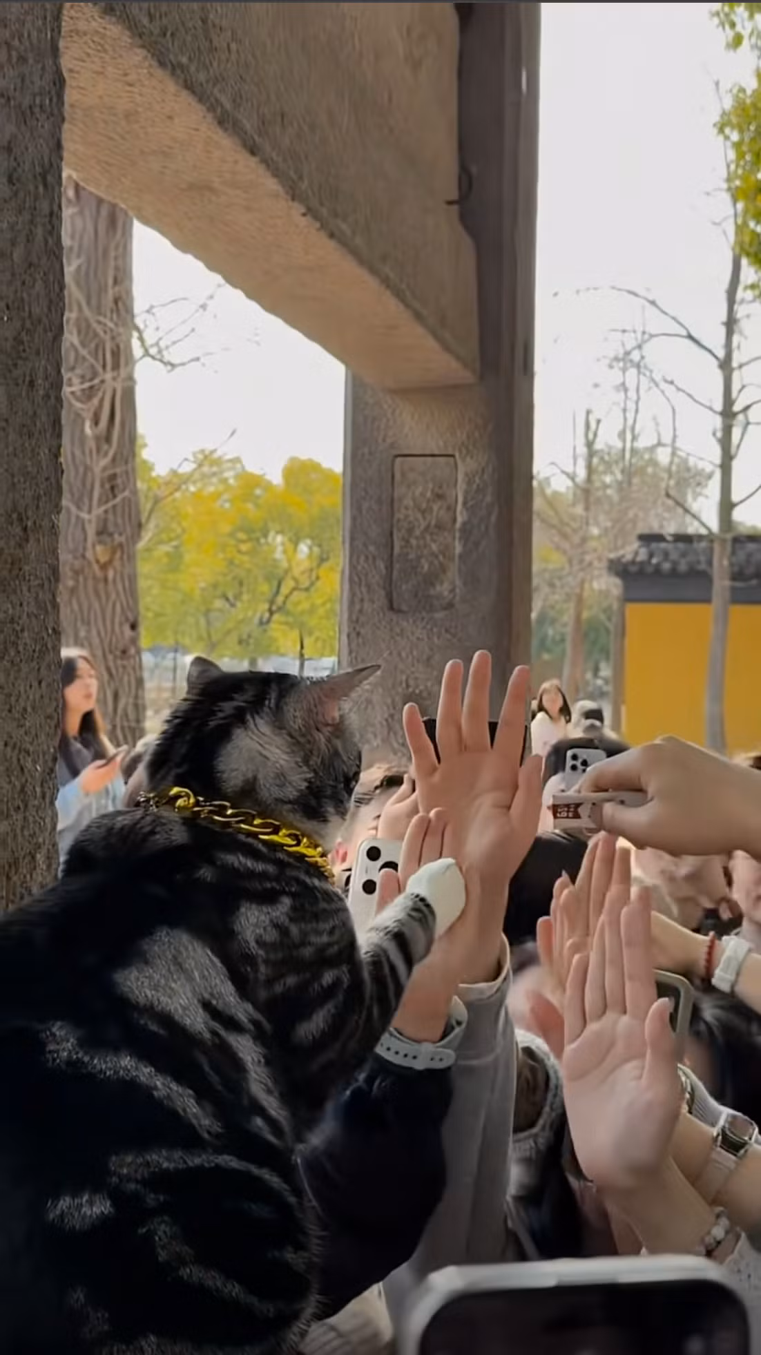 Chùa Tây Viên ở Tô Châu nằm tại số 18 ngõ Tây Viên, đường Hổ Khâu ngoài cửa Xương Môn, Tô Châu, được xây dựng từ thời Nguyên (thế kỷ 13). Đây là đơn vị bảo vệ di sản văn hóa cấp tỉnh Giang Tô. Vì trong chùa có nhiều mèo hoang, một số cư dân mạng gọi nơi đây là "thánh địa vuốt ve mèo".