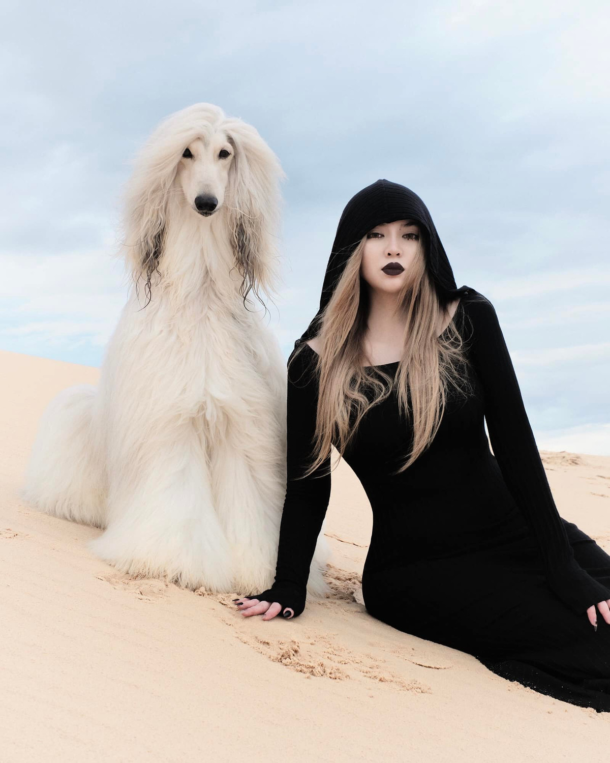 Có thể nói, Trang Hà không chỉ là một người yêu động vật mà còn là người đã tạo ra một xu hướng mới – biến thú cưng thành những "ngôi sao" thực thụ trong làng thời trang và quảng cáo.