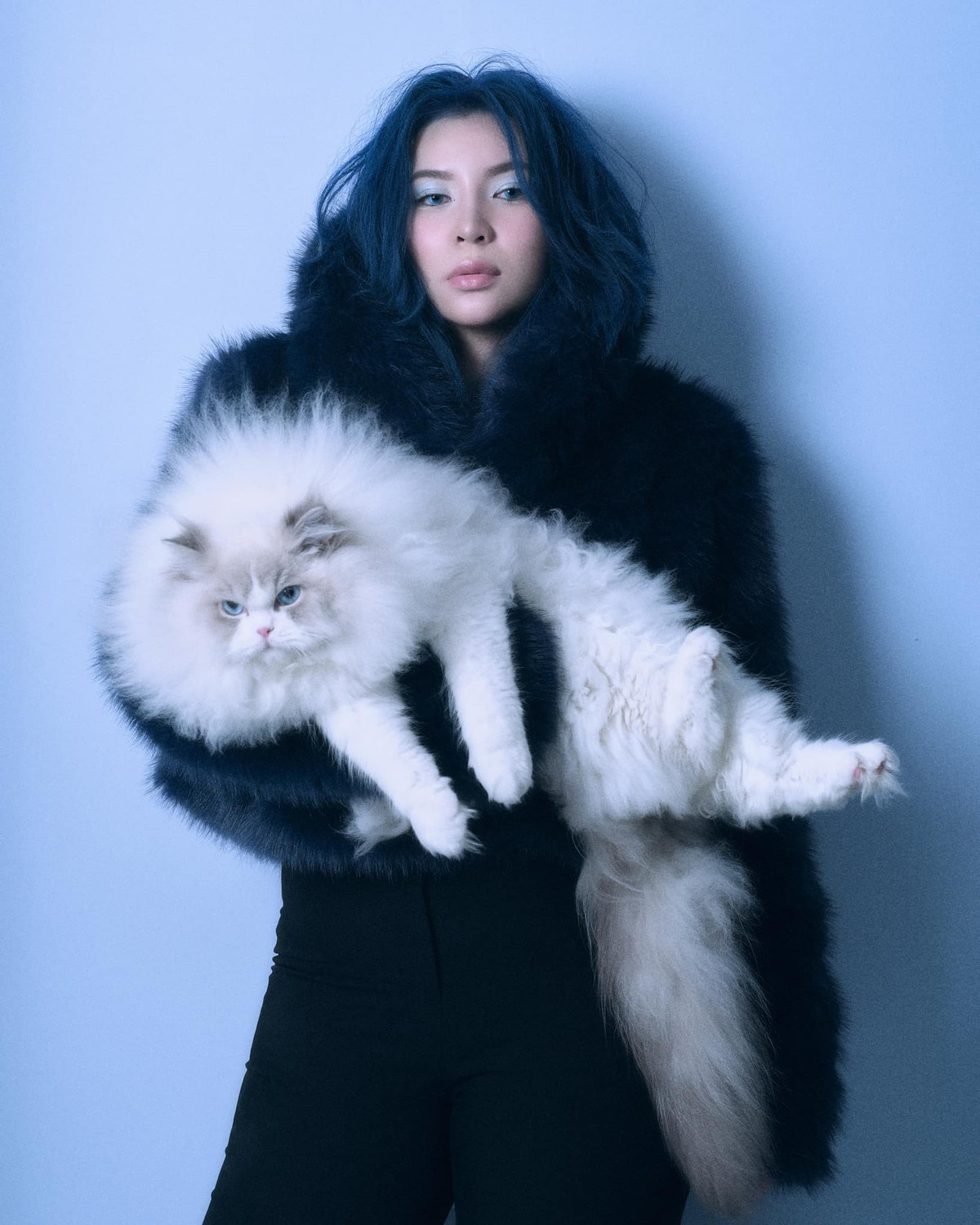 Trên trang cá nhân của mình, Trang Hà không giấu được niềm tự hào mỗi khi khi nhắc đến ba thú cưng của mình. Mỗi chú chó đều có ngoại hình ấn tượng, thần thái cuốn hút.