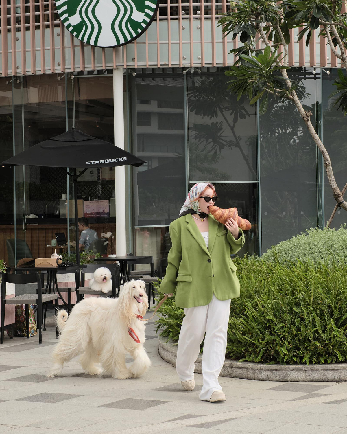 Không chỉ đầu tư vào ngoại hình, Trang Hà còn đảm bảo cho ba thú cưng một cuộc sống đáng mơ ước. Cô nàng phải từng học rất nhiều từ các trại giống ở nước ngoài để đảm bảo tìm ra phương pháp chăm sóc và tạo môi trường sống phù hợp nhất cho các "boss cưng".