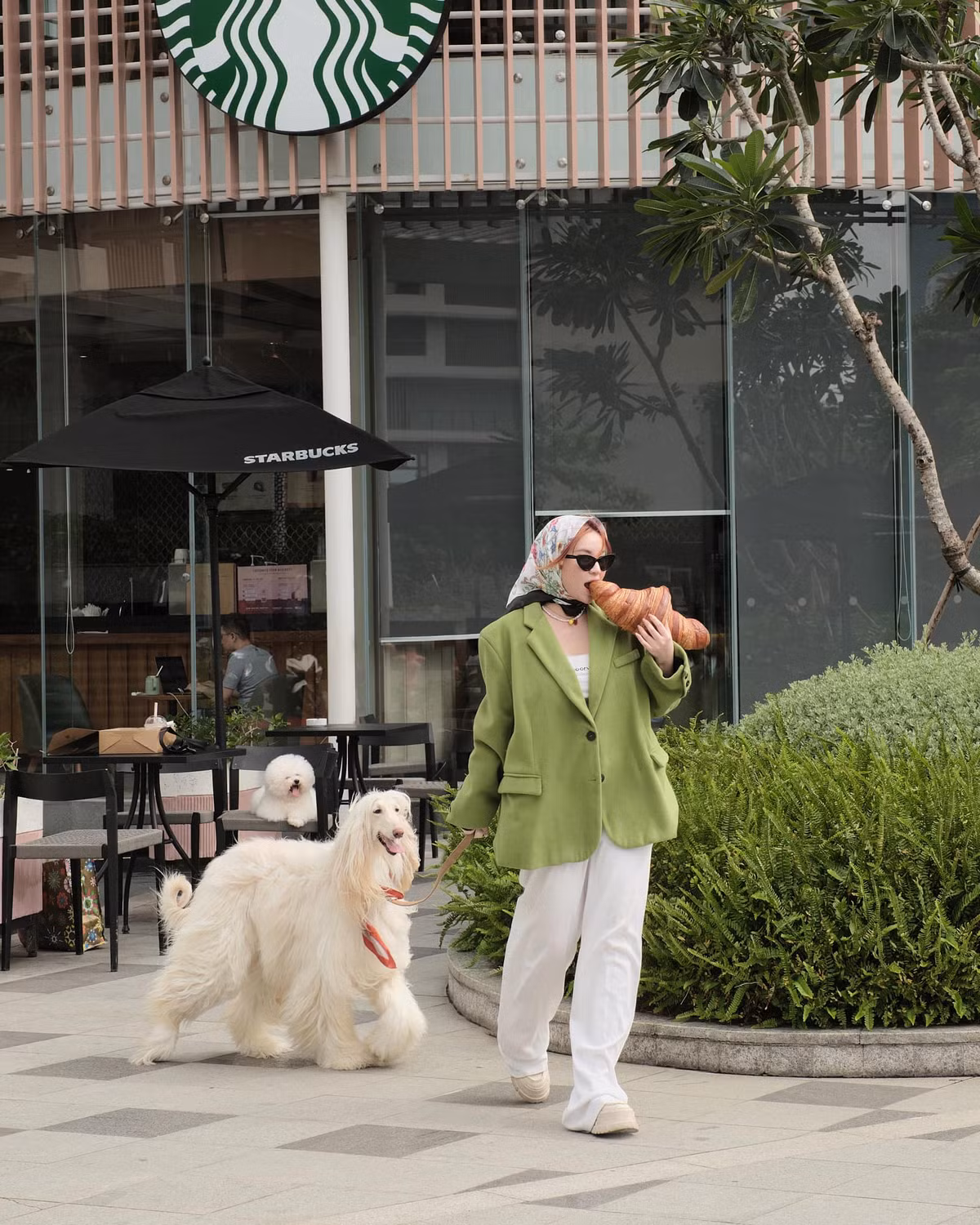 Không chỉ đầu tư vào ngoại hình, Trang Hà còn đảm bảo cho ba thú cưng một cuộc sống đáng mơ ước. Cô nàng phải từng học rất nhiều từ các trại giống ở nước ngoài để đảm bảo tìm ra phương pháp chăm sóc và tạo môi trường sống phù hợp nhất cho các "boss cưng".