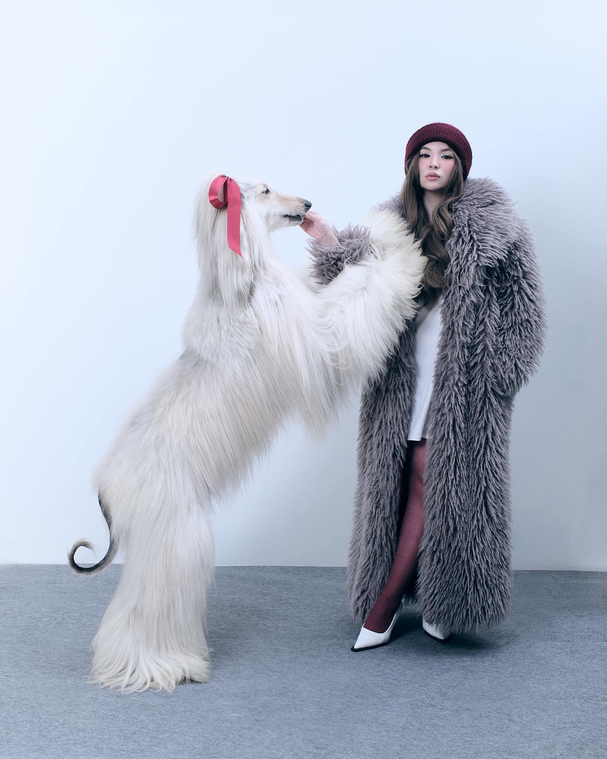 Với những thương hiệu hợp tác khủng, nhiều người cho rằng mỗi hợp đồng quảng cáo phải có giá trị lên tới hàng chục triệu, thậm chí hàng trăm đồng. Những chú cún không chỉ là "boss cưng" mà còn những "cỗ máy kiếm tiền" cực đỉnh.