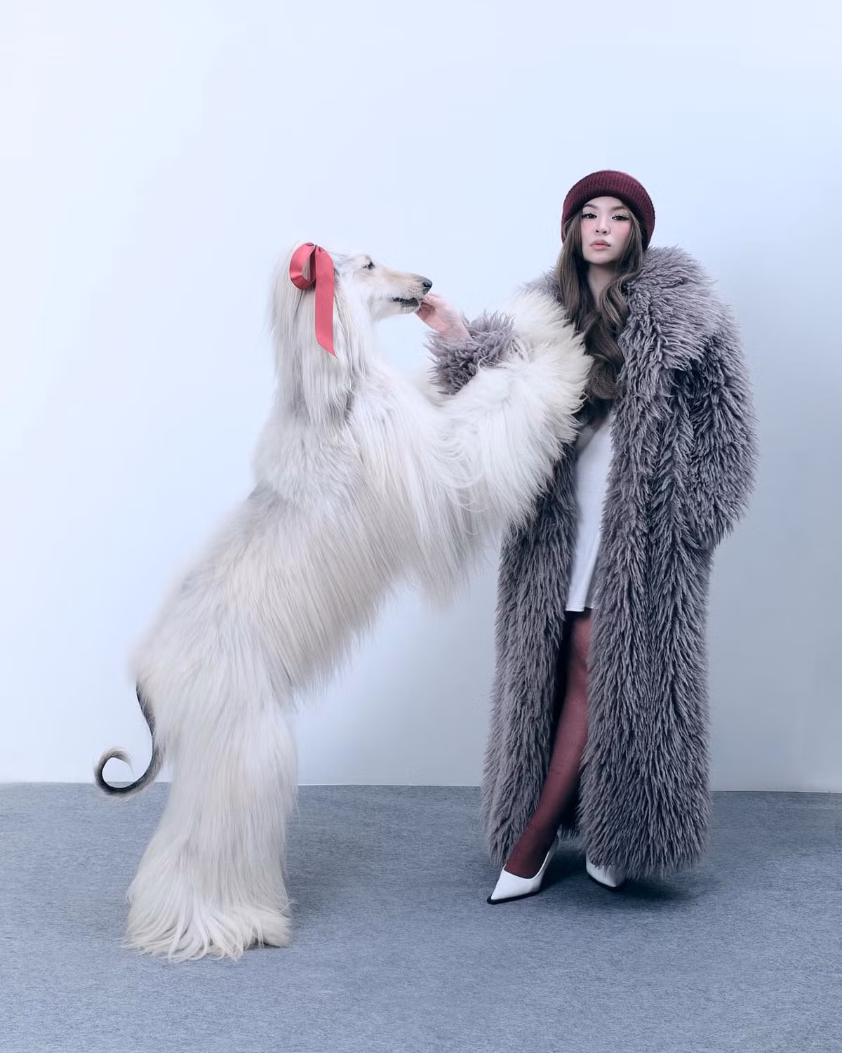 Với những thương hiệu hợp tác khủng, nhiều người cho rằng mỗi hợp đồng quảng cáo phải có giá trị lên tới hàng chục triệu, thậm chí hàng trăm đồng. Những chú cún không chỉ là "boss cưng" mà còn những "cỗ máy kiếm tiền" cực đỉnh.